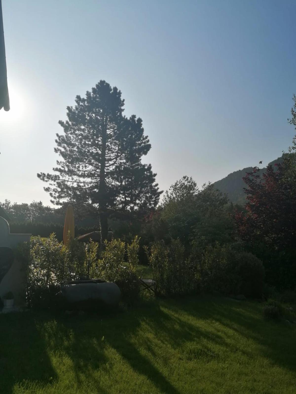 Appartment Nocksteinblick Guggenthal Εξωτερικό φωτογραφία