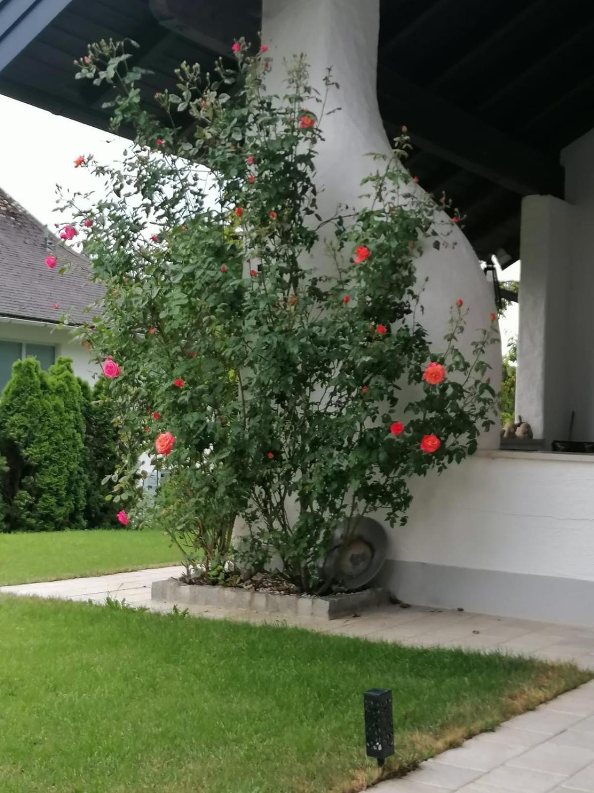 Appartment Nocksteinblick Guggenthal Εξωτερικό φωτογραφία